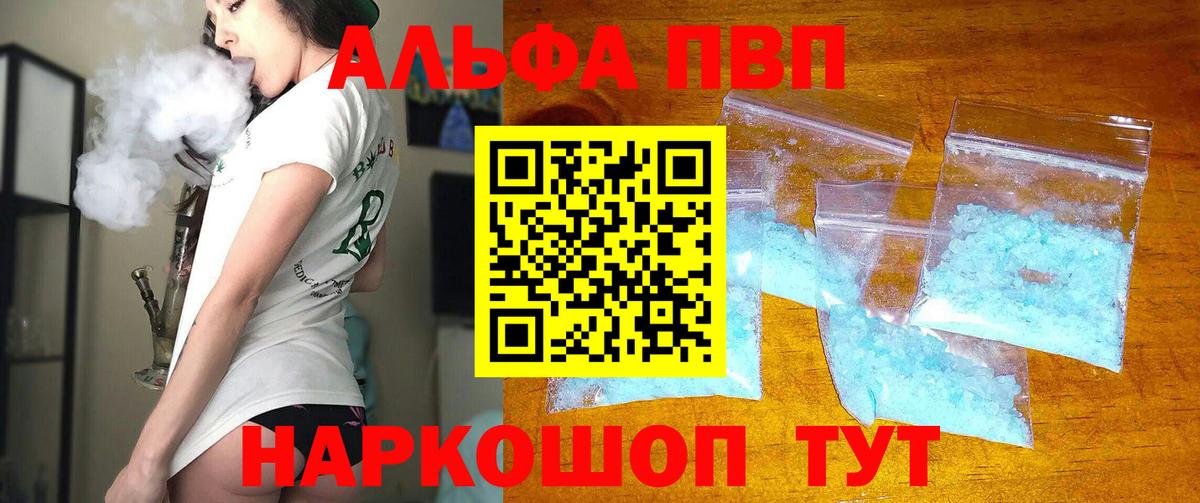 Alfa_PVP СК Вологда