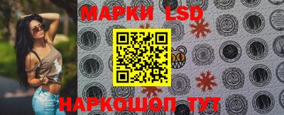 спайс Кудрово