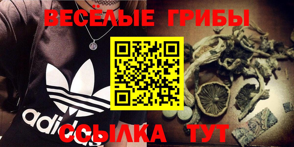 Псилоцибиновые грибы Psilocybine cubensis  купить закладку  Вологда 