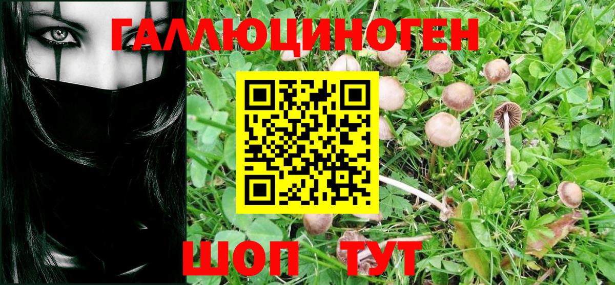 Вологда  Псилоцибиновые грибы Magic Shrooms  наркошоп  Вход с VPN 